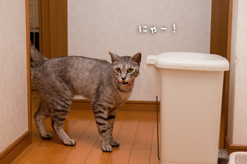 理由はここにある。_d0355333_14593027.jpg