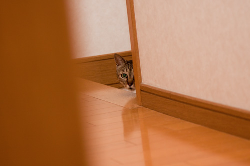 理由はここにある。_d0355333_14593138.jpg