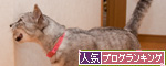 理由はここにある。_d0355333_14593183.jpg