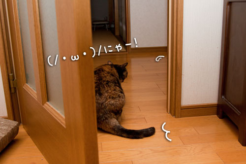 イケズなんは誰?_d0355333_14593752.jpg