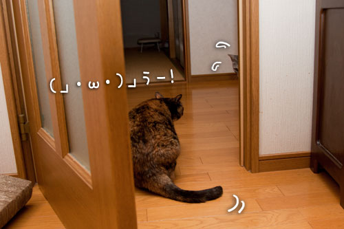 イケズなんは誰?_d0355333_14593762.jpg