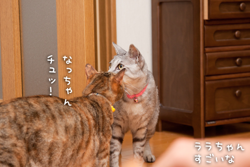 ちょろっとやってきたよ_d0355333_14594002.jpg
