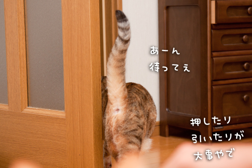 ちょろっとやってきたよ_d0355333_14594077.jpg