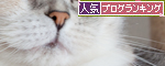シニア猫のこだわりのなさ?_d0355333_14594249.jpg