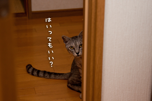 到達したよ!_d0355333_14594281.jpg