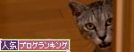 到達したよ!_d0355333_14594365.jpg