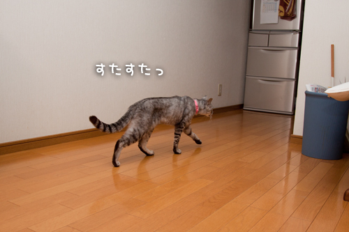 到達したよ!_d0355333_14594368.jpg