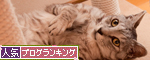 粘り勝ち_d0355333_14594548.jpg