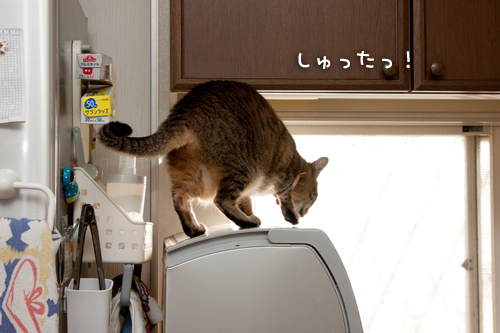 物思いにふける・・・_d0355333_14594722.jpg