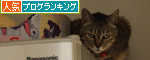 物思いにふける・・・_d0355333_14594849.jpg