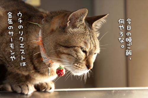 物思いにふける・・・_d0355333_14594880.jpg