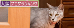 アニマルコミュニケーション体験_d0355333_14594958.jpg