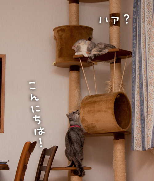タワーでドキドキ_d0355333_14595657.jpg