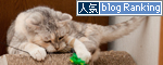 お客さんがやってきた!_d0355333_15000246.jpg
