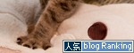笑子たんのゆううつ。_d0355333_15001015.jpg