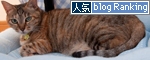 ミニコタツの中は_d0355333_15001183.jpg