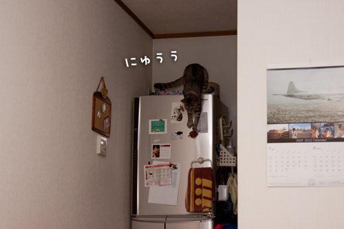 ついに登頂!_d0355333_15001419.jpg