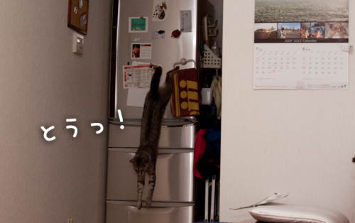 ついに登頂!_d0355333_15001491.jpg