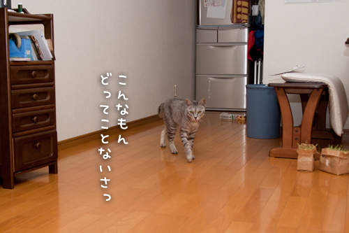 ついに登頂!_d0355333_15001521.jpg