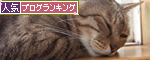 夏の一枚。_d0355333_15001695.jpg