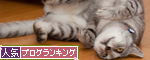 キャットニップ葉巻で乱れる_d0355333_15001770.jpg
