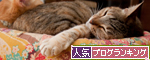クーラー意味なし。_d0355333_15001828.jpg