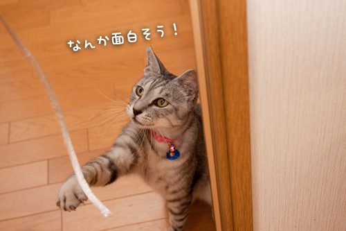 一緒に遊ぼうよ_d0355333_15002049.jpg