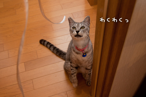 一緒に遊ぼうよ_d0355333_15002160.jpg