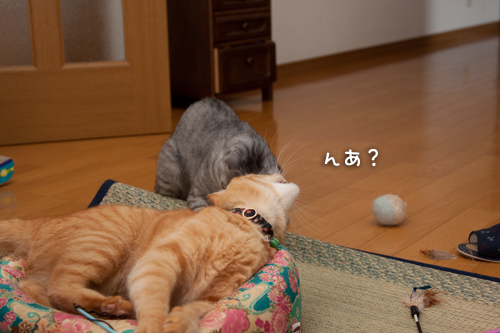 フランスから愛をこめて_d0355333_15002324.jpg