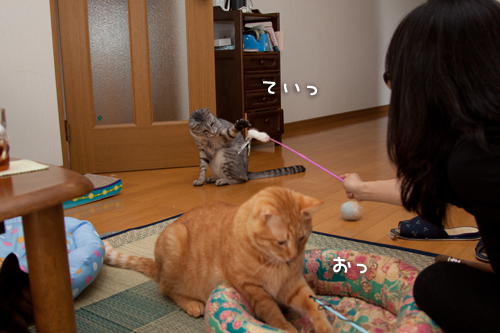 フランスから愛をこめて_d0355333_15002428.jpg
