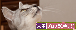 フランスから愛をこめて_d0355333_15002475.jpg