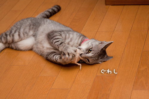 酔っ払いの巣窟。_d0355333_15002614.jpg