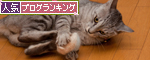 酔っ払いの巣窟。_d0355333_15002700.jpg