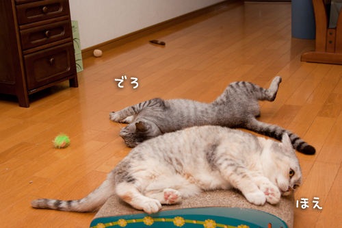 酔っ払いの巣窟。_d0355333_15002744.jpg