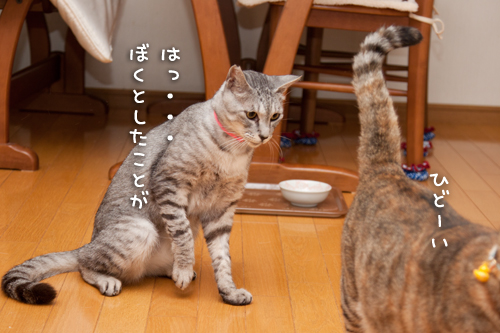 あれれ?_d0355333_15002876.jpg