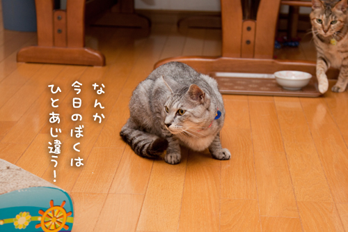 あれれ?_d0355333_15002880.jpg