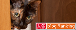 ただいまー!_d0355333_15003023.jpg