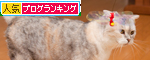 どうでもいい女。_d0355333_15011042.jpg