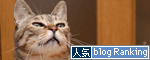 今なら・・・?_d0355333_15011373.jpg