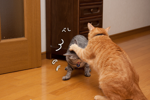 けんかは何とかのしるし。_d0355333_15011720.jpg