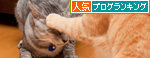 けんかは何とかのしるし。_d0355333_15011738.jpg