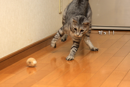 ひとり遊び_d0355333_15011822.jpg