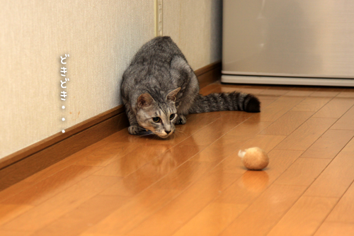 ひとり遊び_d0355333_15011888.jpg