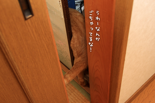 続いて続いて!_d0355333_15012334.jpg