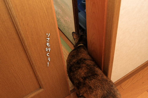 続いて続いて!_d0355333_15012477.jpg
