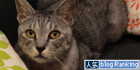 大きな爪とぎの木の下で。_d0355333_15013646.jpg