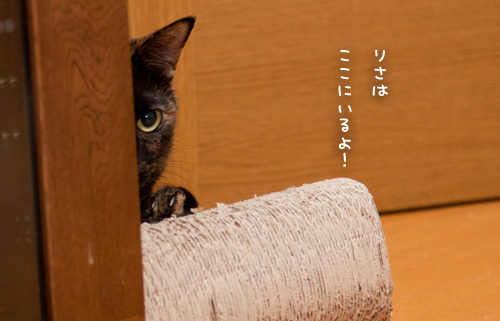 一緒に遊ぼうよ!_d0355333_15013892.jpg