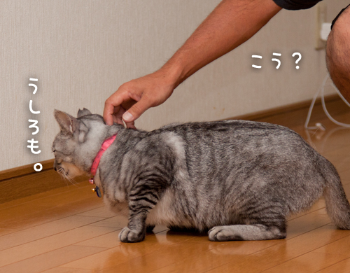 もう怖くないよ!_d0355333_15014200.jpg