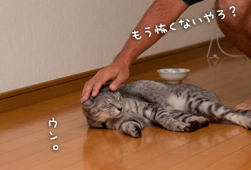 もう怖くないよ!_d0355333_15014249.jpg