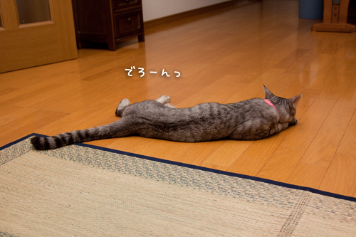 出来ることが増えてきた!_d0355333_15014286.jpg